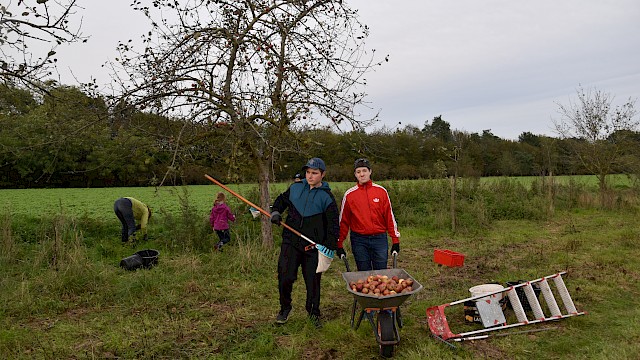 Apfelernte Obstbaumwiese Wardenburg Familie Büscher, Tammo und Florian