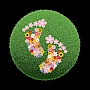Fußpflege und Fußprophylaxe Susann Bunjes