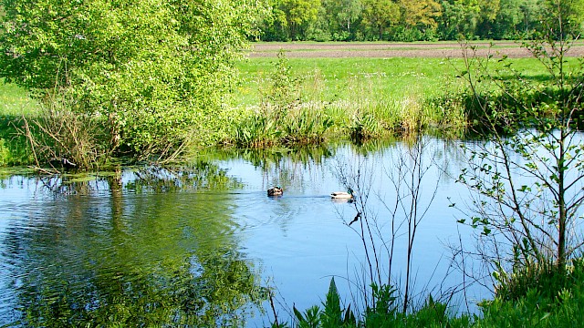 Querkanal: Natur pur