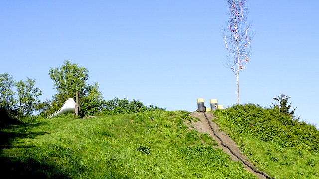 Maibaum auf dem MiKi-Berg